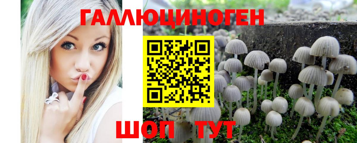 Галлюциногенные грибы MAGIC MUSHROOMS Черняховск